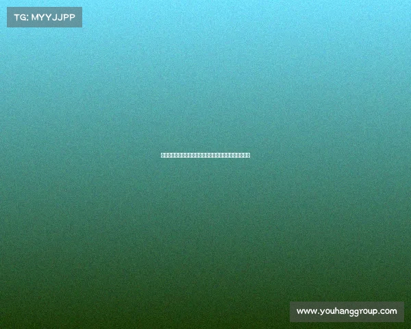 小维阿黎明时告别尤文训练营以租后买加盟马赛展开新篇章