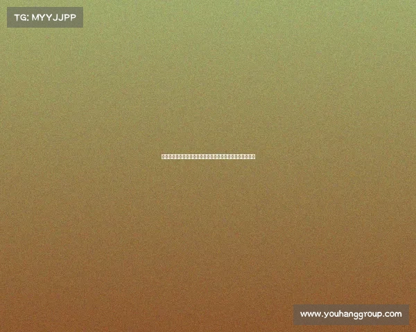 马赛城市风貌与历史文化探寻之旅：从古港口到现代艺术之都